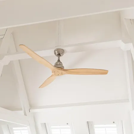 Luttik 阿尔克马尔