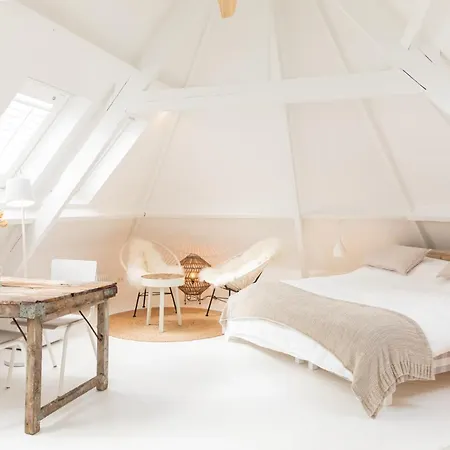 Luttik 阿尔克马尔