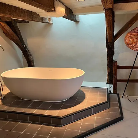 Luttik 阿尔克马尔