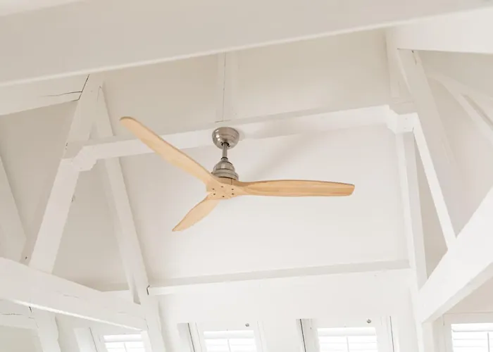 Luttik アルクマール